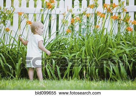Stock Photography - Caucasian girl exploring flowers in backyard. Fotosearch