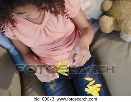 Mixed race girl picking petals from flower View Large Photo Image Stock Image - Mixed race girl picking petals from flower. Fotosearch