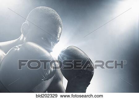 Stock Photo - African American boxer with gloves raised. Fotosearch