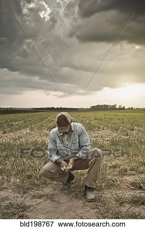 African American farmer checking dirt in field View Large Photo Image Stock Photo - African American farmer checking dirt in field. Fotosearch