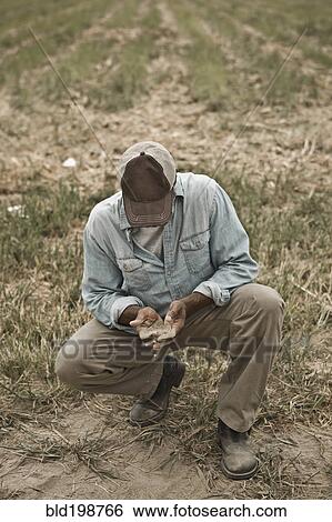 Stock Photograph - African American farmer checking dirt in field. Fotosearch