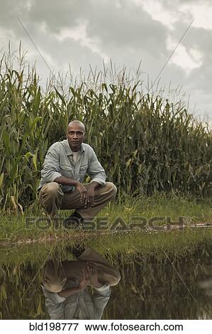 Stock Photo - African American farmer squatting near water and crops. Fotosearch