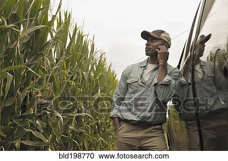African American farmer talking on cell phone in field View Large Photo Image Stock Image - African American farmer talking on cell phone in field. Fotosearch