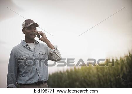 Stock Image - African American farmer talking on cell phone in field. Fotosearch