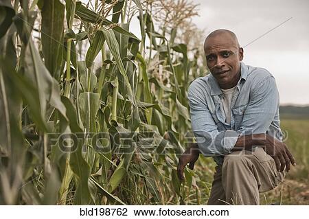 Stock Image - African American farmer tending crops. Fotosearch