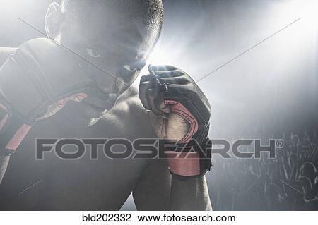 African American MMA boxer with gloves raised View Large Photo Image Stock Image - African American MMA boxer with gloves raised. Fotosearch