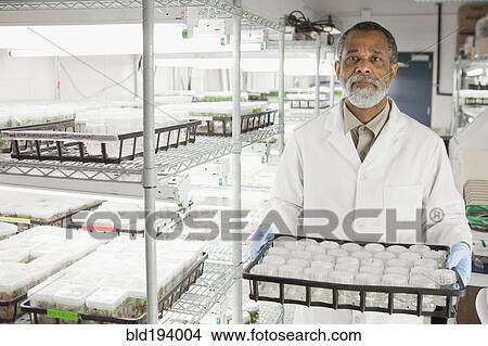 African American scientist working in laboratory View Large Photo Image Picture - African American scientist working in laboratory. Fotosearch