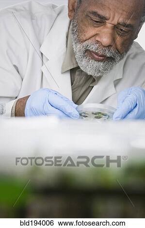 Stock Photograph - African American scientist working in laboratory. Fotosearch