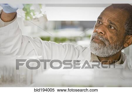 African American scientist working in laboratory View Large Photo Image Stock Photography - African American scientist working in laboratory. Fotosearch
