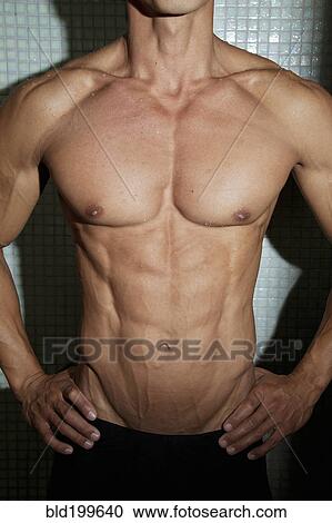 Stock Image - Athletic Pacific Islander man's torso. Fotosearch
