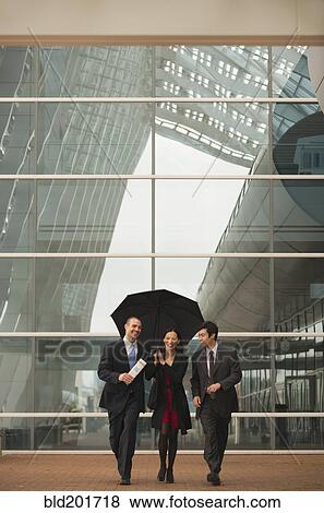 Business people walking together with umbrella View Large Photo Image Stock Photo - Business people walking together with umbrella. Fotosearch