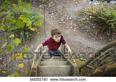 Stock Image - Caucasian boy climbing ladder to tree house. Fotosearch