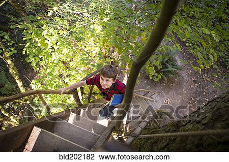Stock Image - Caucasian boy climbing ladder to tree house. Fotosearch