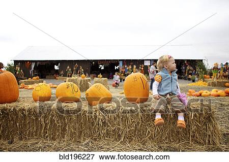 Stock Photo - Caucasian girl sitting with pumpkins in pumpkin patch. Fotosearch