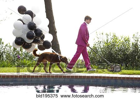 Caucasian man in pink suit mowing lawn being followed by dog View Large Photo Image Stock Photography - Caucasian man in pink suit mowing lawn being followed by dog. Fotosearch