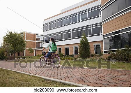 Stock Image - Caucasian student riding bicycle on campus. Fotosearch