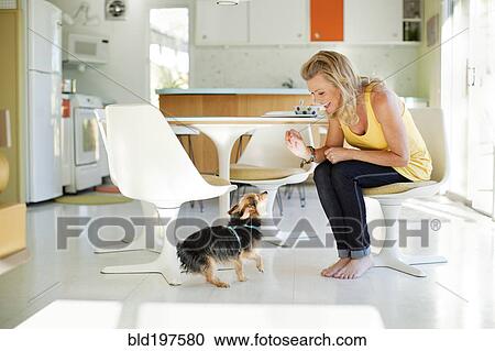 Caucasian woman giving dog treat in dining room View Large Photo Image Stock Image - Caucasian woman giving dog treat in dining room. Fotosearch