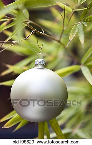 Close up of Christmas ornament on tree View Large Photo Image Stock Photo - Close up of Christmas ornament on tree. Fotosearch