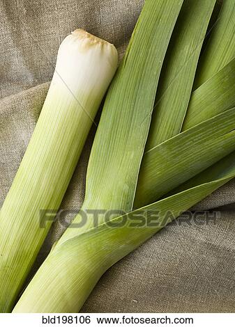 Stock Photograph - Close up of leek stalk. Fotosearch