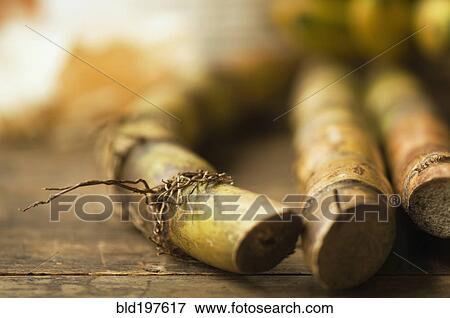 Stock Photo - Close up of sugar cane stick. Fotosearch