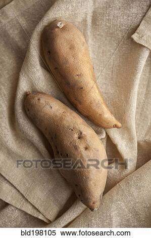 Close up of sweet potatoes View Large Photo Image Stock Photography - Close up of sweet potatoes. Fotosearch