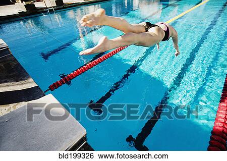 Competitive swimmer diving into swimming pool View Large Photo Image Stock Photograph - Competitive swimmer diving into swimming pool. Fotosearch