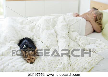 Stock Image - Couple and dog sleeping in bed. Fotosearch