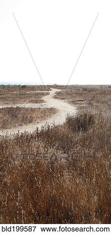 Stock Photo - Dirt road through field. Fotosearch
