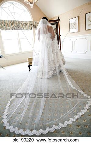 Egyptian bride in wedding dress View Large Photo Image Stock Image - Egyptian bride in wedding dress. Fotosearch