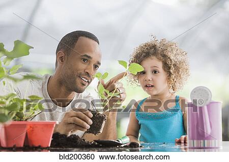 Father and daughter gardening together View Large Photo Image Stock Image - Father and daughter gardening together. Fotosearch