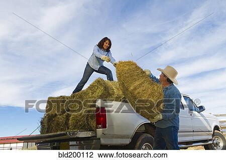 Stock Image - Hispanic couple loading hay onto truck. Fotosearch