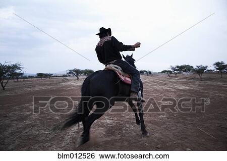 Hispanic cowboy riding horse View Large Photo Image Stock Photograph - Hispanic cowboy riding horse. Fotosearch