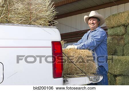 Stock Photograph - Hispanic man loading hay onto truck. Fotosearch