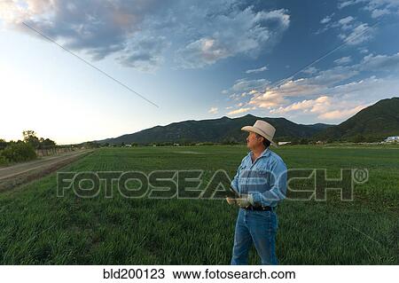 Hispanic man looking at crop View Large Photo Image Stock Image - Hispanic man looking at crop. Fotosearch