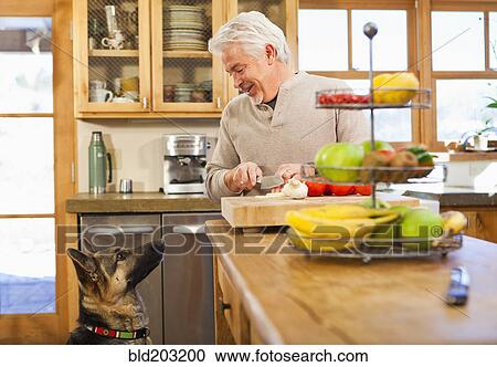 Hispanic man with begging dog in kitchen View Large Photo Image Stock Image - Hispanic man with begging dog in kitchen. Fotosearch