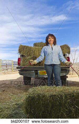Hispanic woman loading hay onto truck View Large Photo Image Stock Photo - Hispanic woman loading hay onto truck. Fotosearch