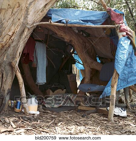 Homeless tent next to tree View Large Photo Image Stock Photo - Homeless tent next to tree. Fotosearch