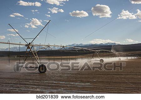 Irrigation sprinklers watering field View Large Photo Image Stock Photo - Irrigation sprinklers watering field. Fotosearch