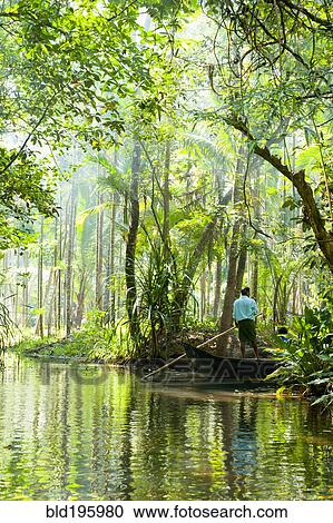 Stock Image - Man standing in boat on tranquil forest river. Fotosearch