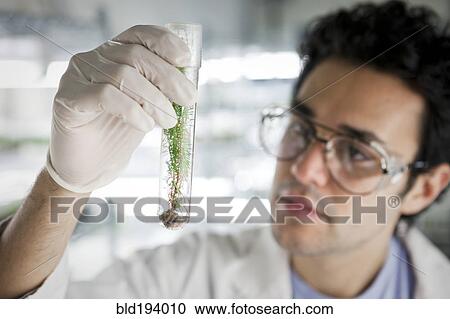 Middle Eastern scientist holding specimen in vial View Large Photo Image Stock Image - Middle Eastern scientist holding specimen in vial. Fotosearch