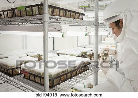 Stock Photo - Middle Eastern scientist in clean suit in laboratory. Fotosearch