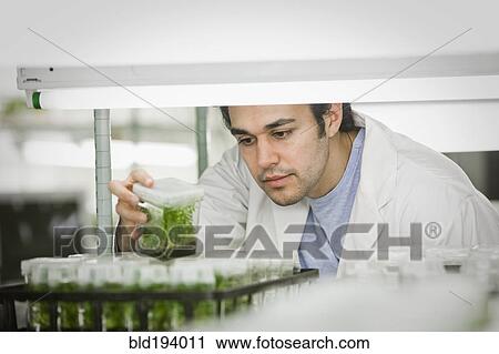 Stock Image - Middle Eastern scientist working in laboratory. Fotosearch