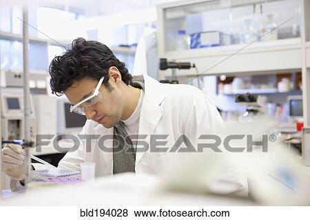 Middle Eastern scientist working in laboratory View Large Photo Image Stock Photo - Middle Eastern scientist working in laboratory. Fotosearch