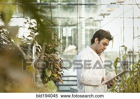 Middle Eastern scientist working in greenhouse View Large Photo Image Stock Photography - Middle Eastern scientist working in greenhouse. Fotosearch