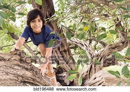 Stock Photo - Mixed race boy climbing tree. Fotosearch