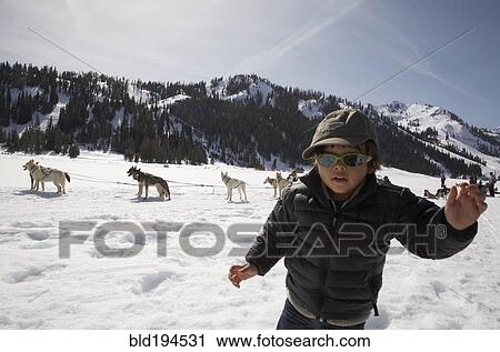 Mixed race boy in snow with dogs and dogsled View Large Photo Image Stock Image - Mixed race boy in snow with dogs and dogsled. Fotosearch