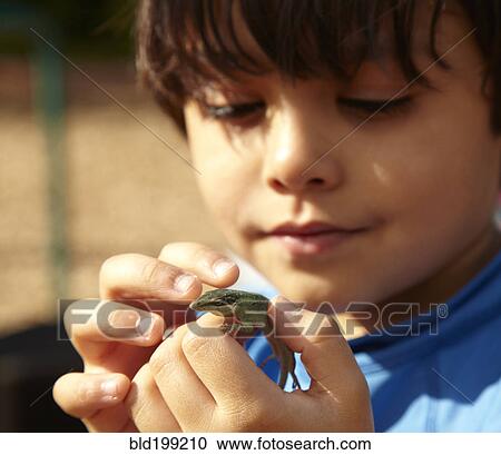Mixed race boy looking at lizard View Large Photo Image Stock Image - Mixed race boy looking at lizard. Fotosearch