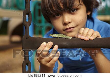 Stock Image - Mixed race boy looking at lizard. Fotosearch