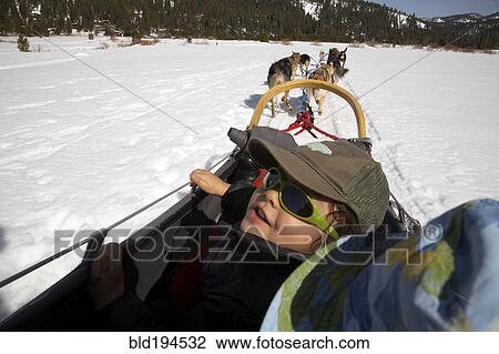 Stock Image - Mixed race boy riding on dogsled. Fotosearch