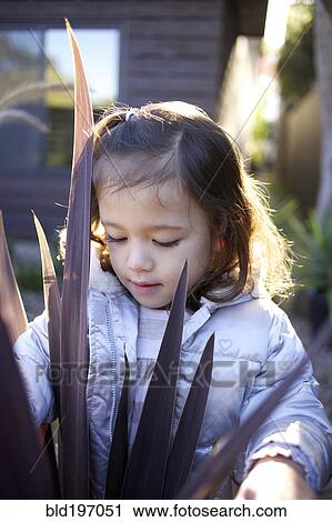 Mixed race girl looking at plant View Large Photo Image Stock Image - Mixed race girl looking at plant. Fotosearch